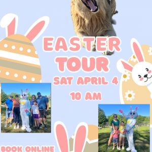 Carson Springs Wildlife Easter Drive Thru Tour