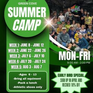 D-Bat Summer Camp