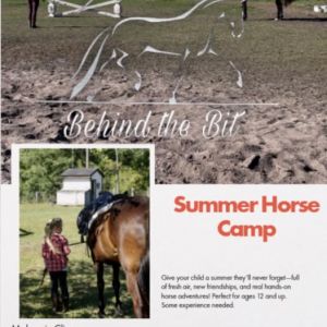 Behind the Bit Stables Summer Camps
