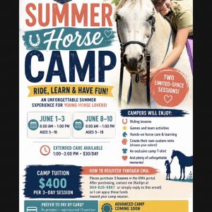 Kings Riding Academy Summer Camp