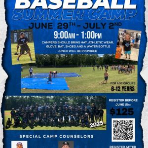 Ridgeview Baseball Camp