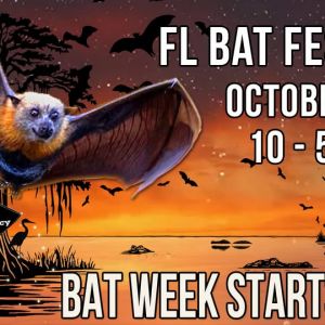 Florida Bat Fest at Lubee Bat Conservancy