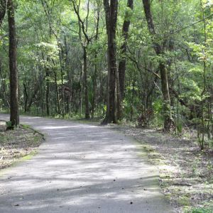 Black Creek Trail Pavilion